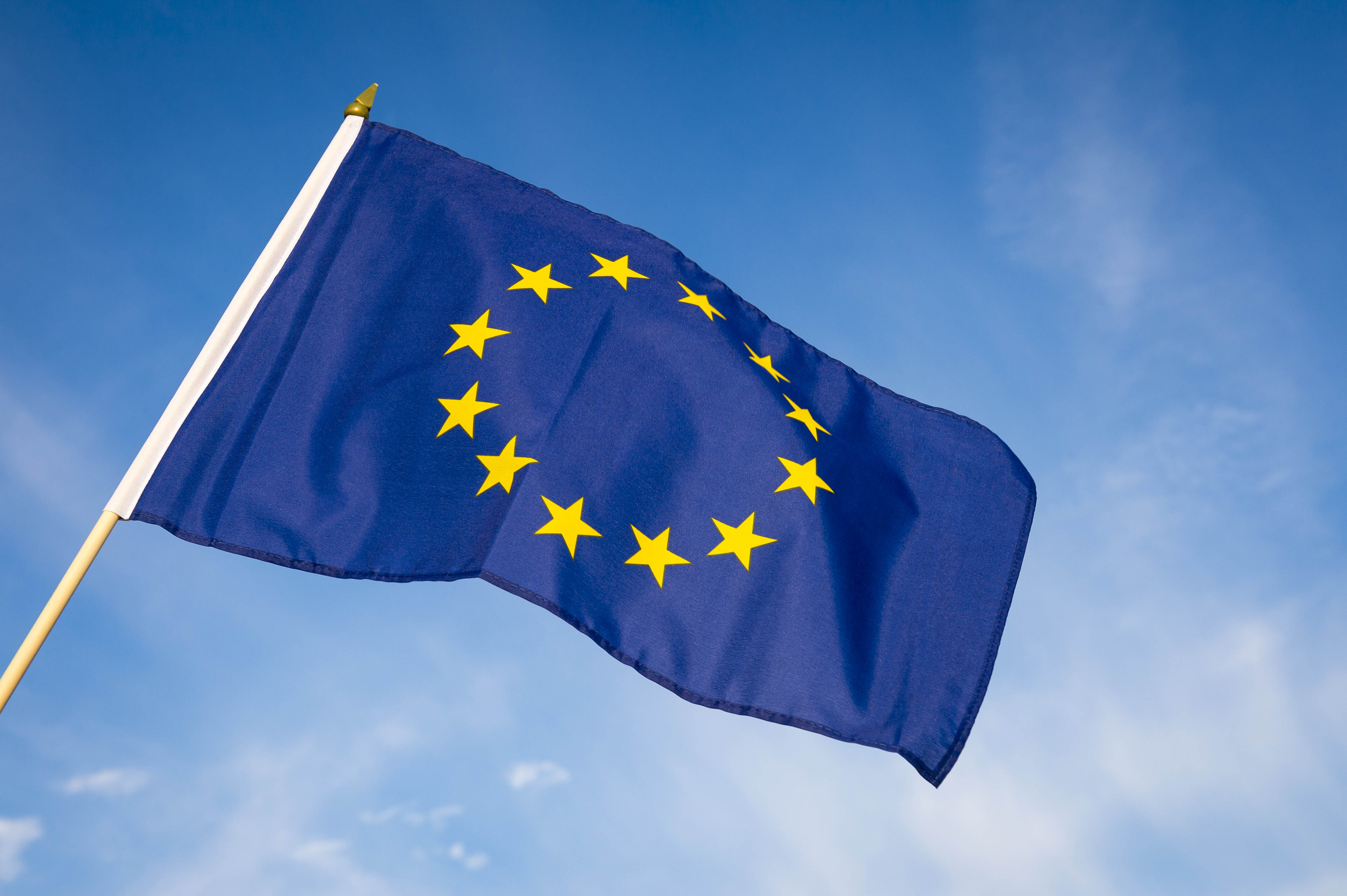 The EU flag.